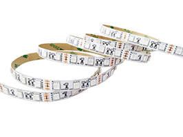 文件上传成功！