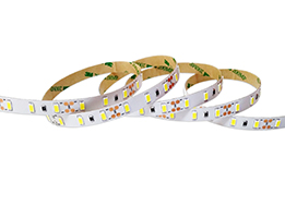 文件上传成功！