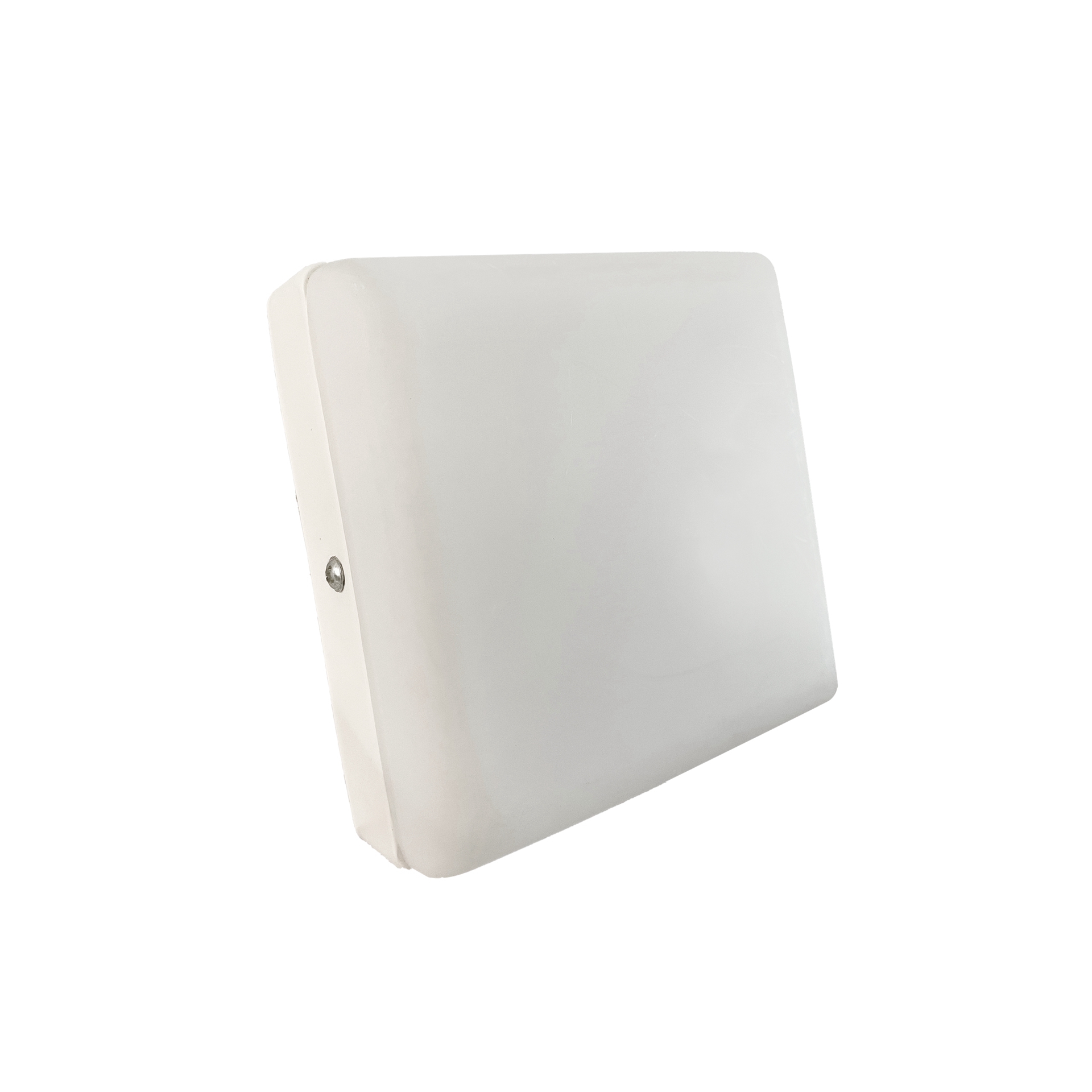 文件上传成功！