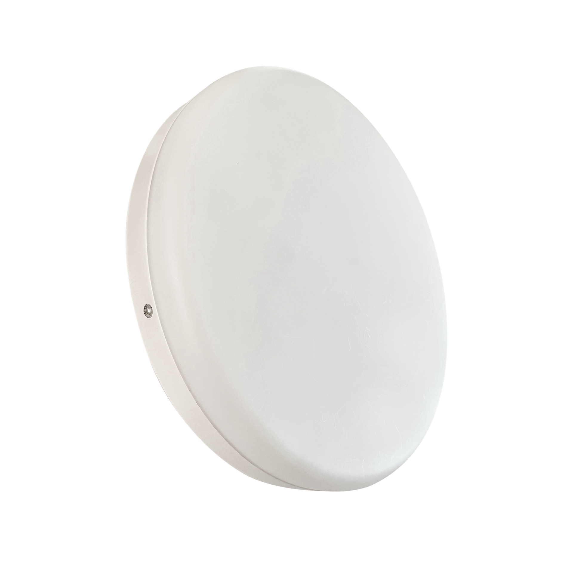 文件上传成功！