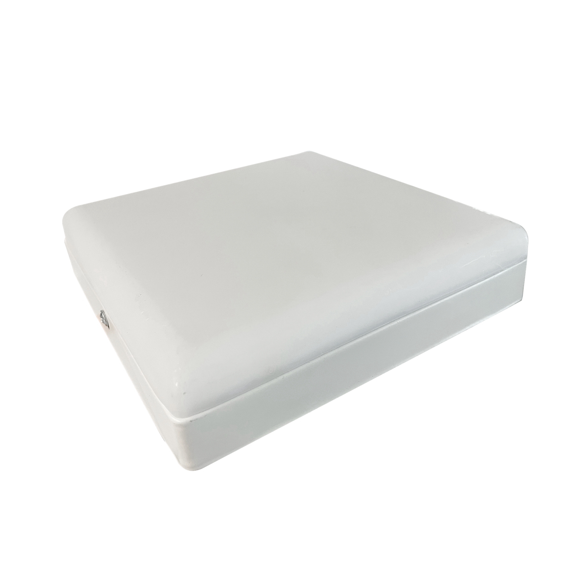 文件上传成功！