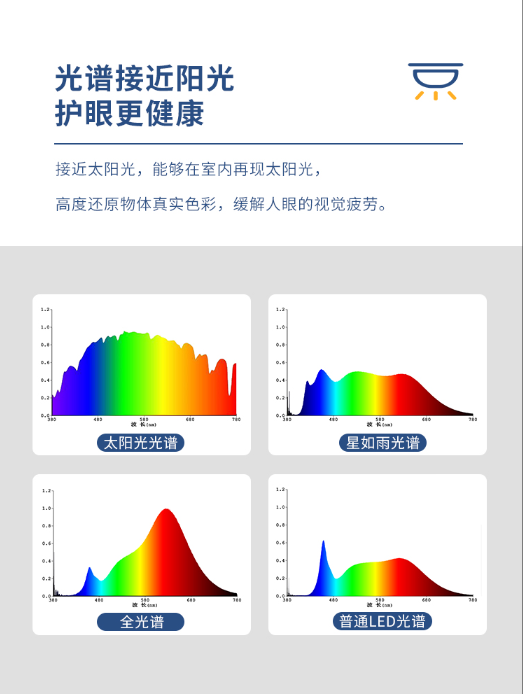 文件上传成功！