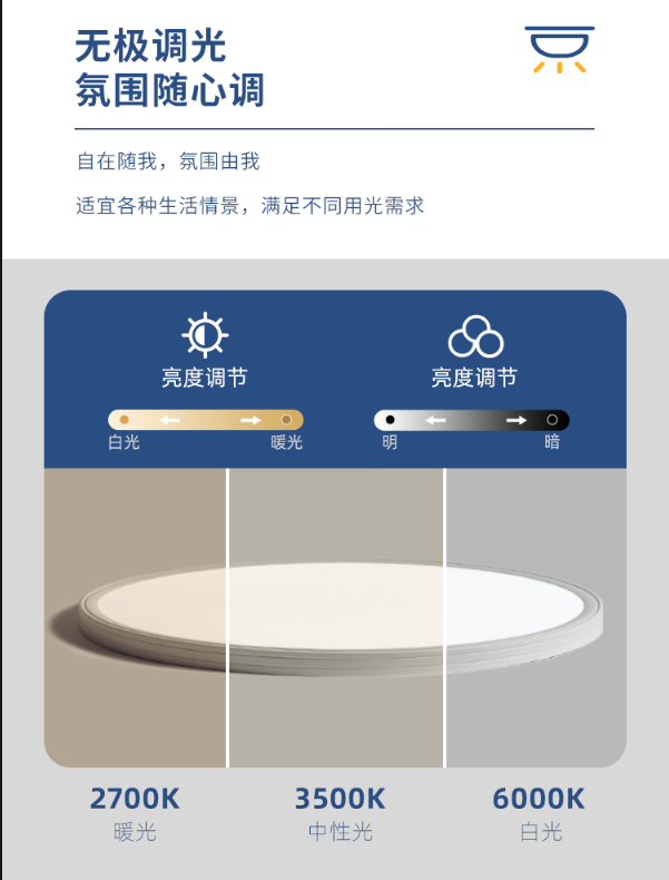 文件上传成功！
