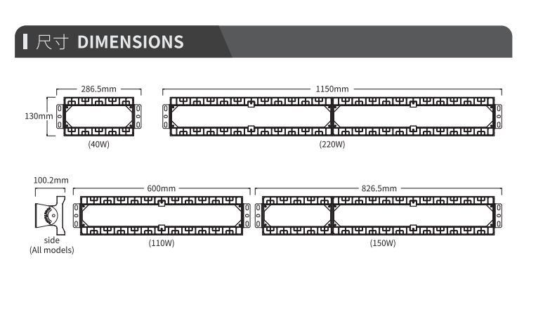 文件上传成功！