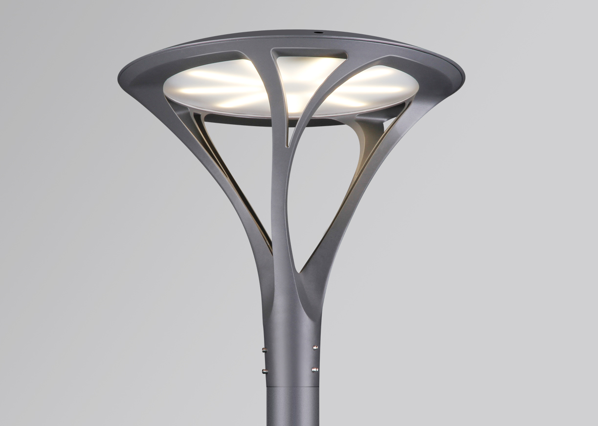 文件上传成功！