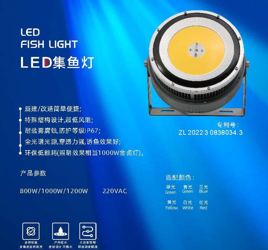 文件上传成功！