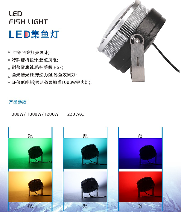 文件上传成功！