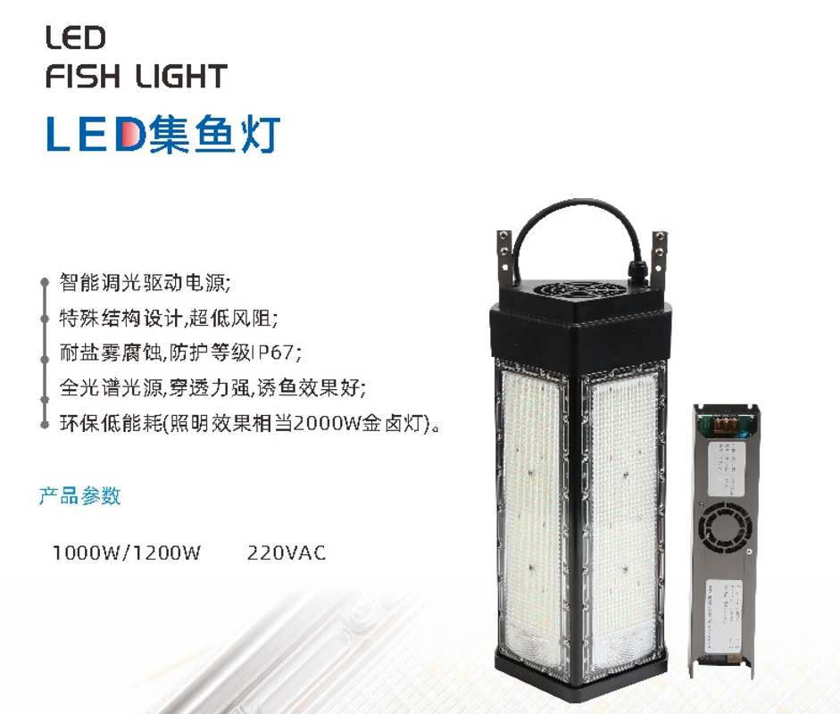 文件上传成功！