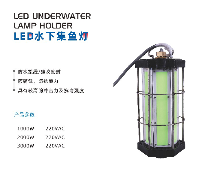 文件上传成功！