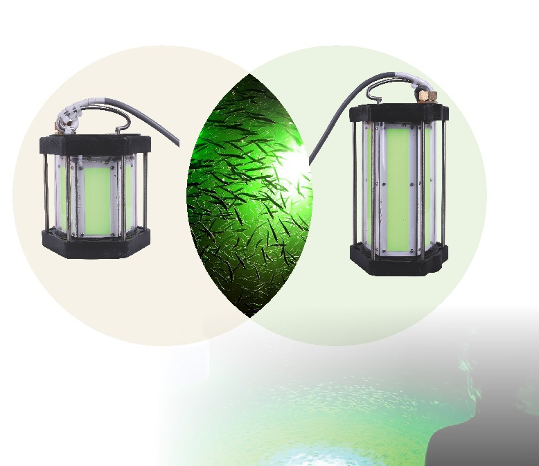 文件上传成功！