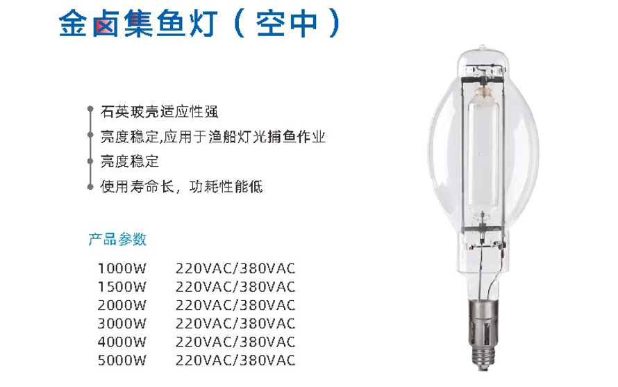 文件上传成功！