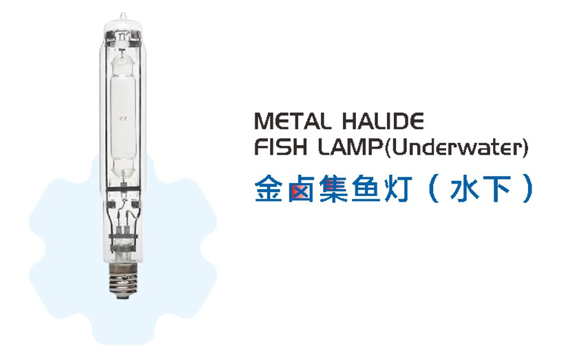 文件上传成功！