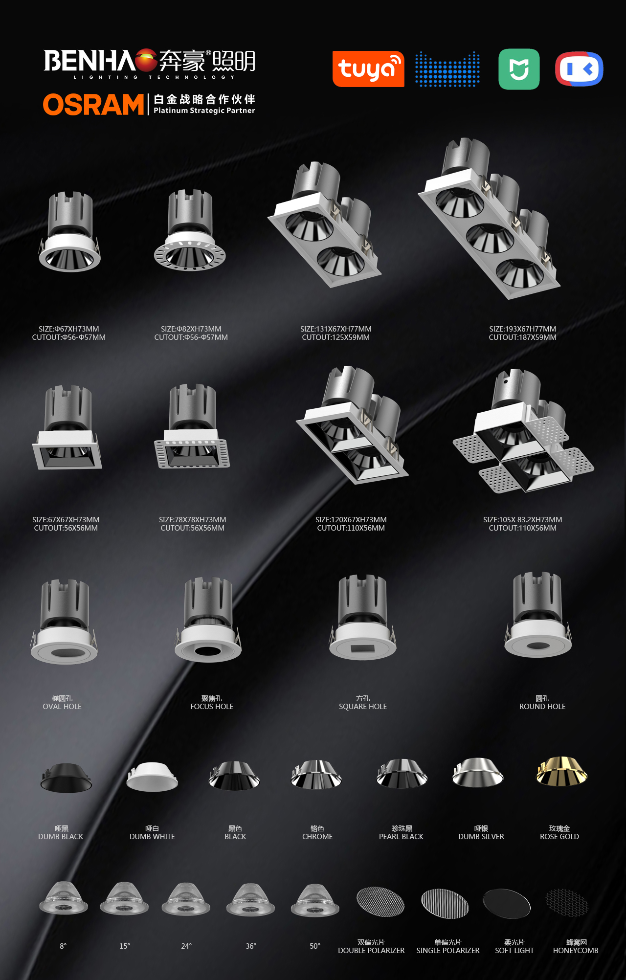 文件上传成功！