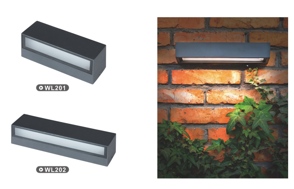 文件上传成功！