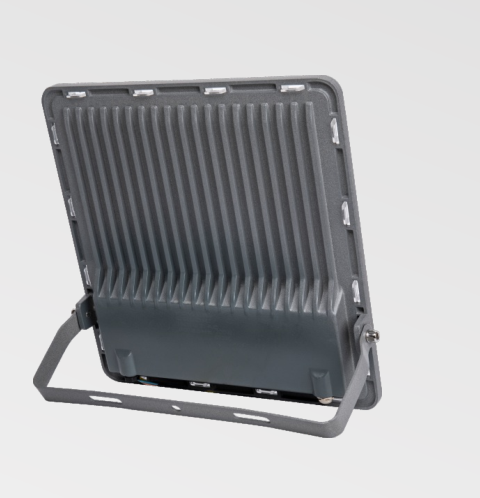 文件上传成功！