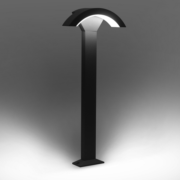 文件上传成功！