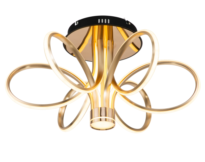 文件上传成功！