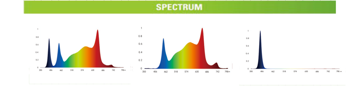 文件上传成功！