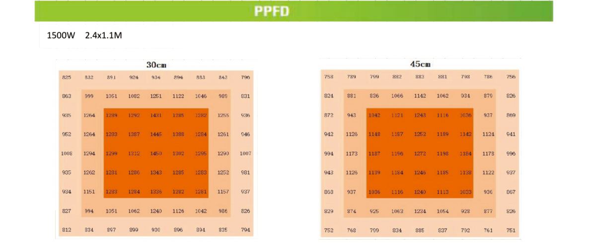 文件上传成功！