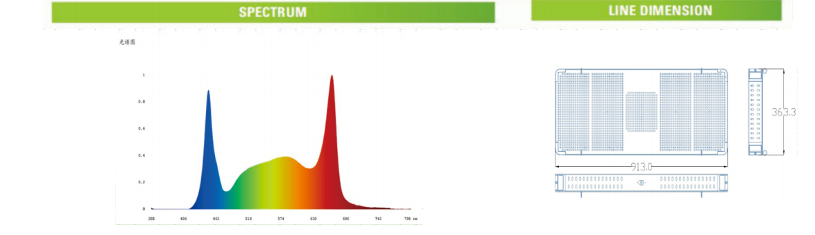 文件上传成功！