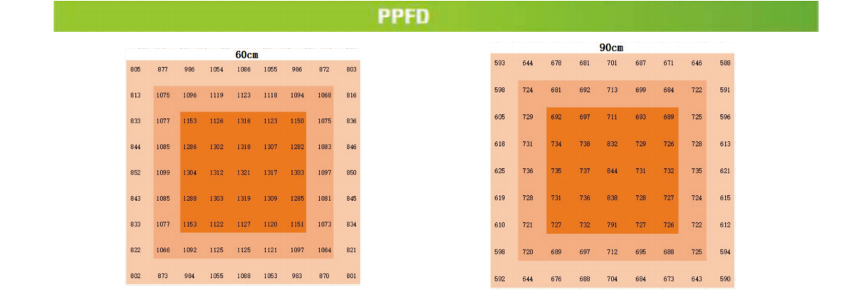 文件上传成功！