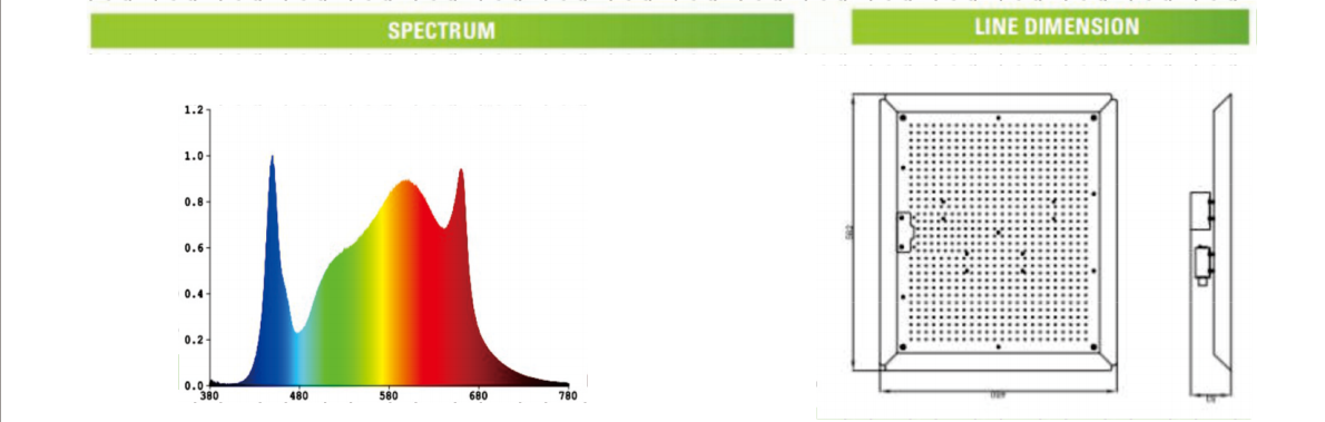 文件上传成功！