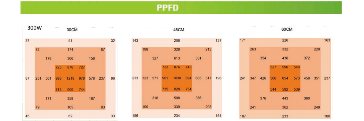 文件上传成功！