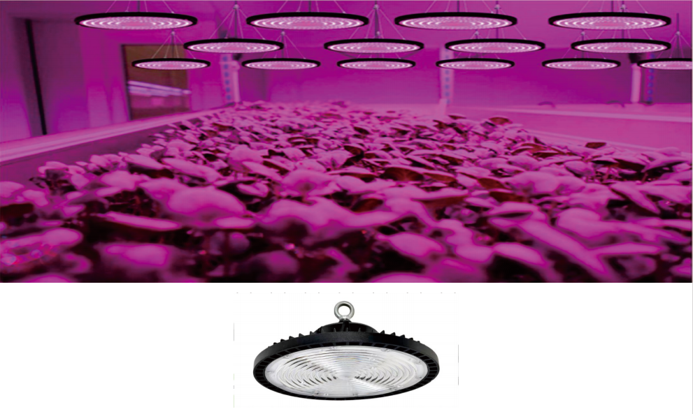 文件上传成功！