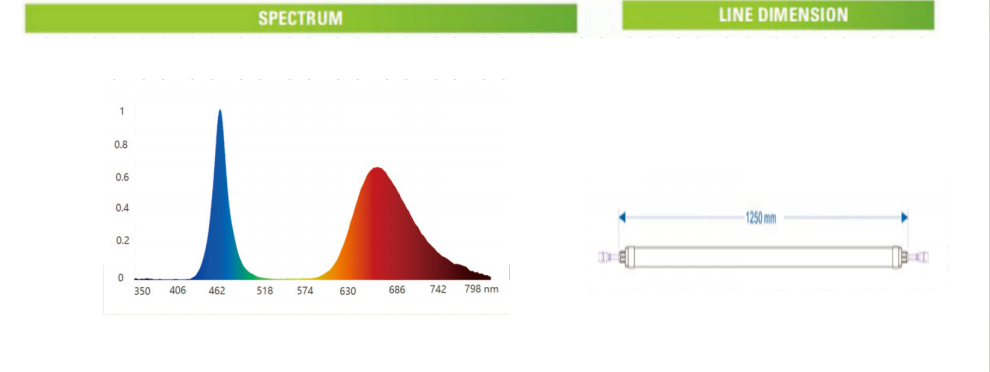 文件上传成功！