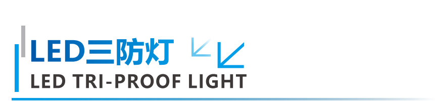 文件上传成功！