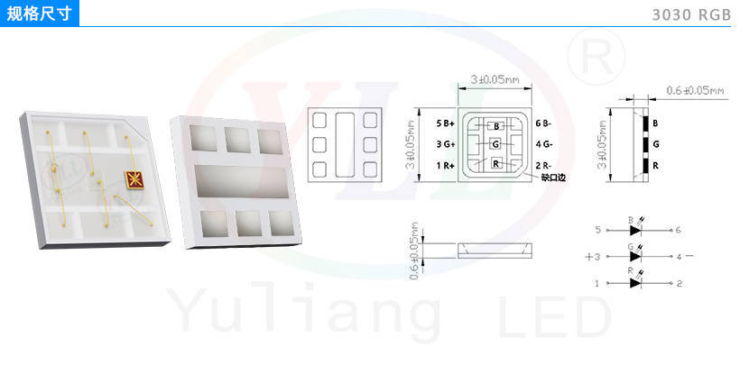文件上传成功！