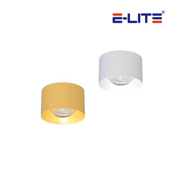 文件上传成功！