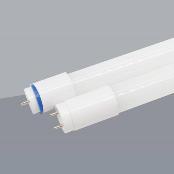 文件上传成功！