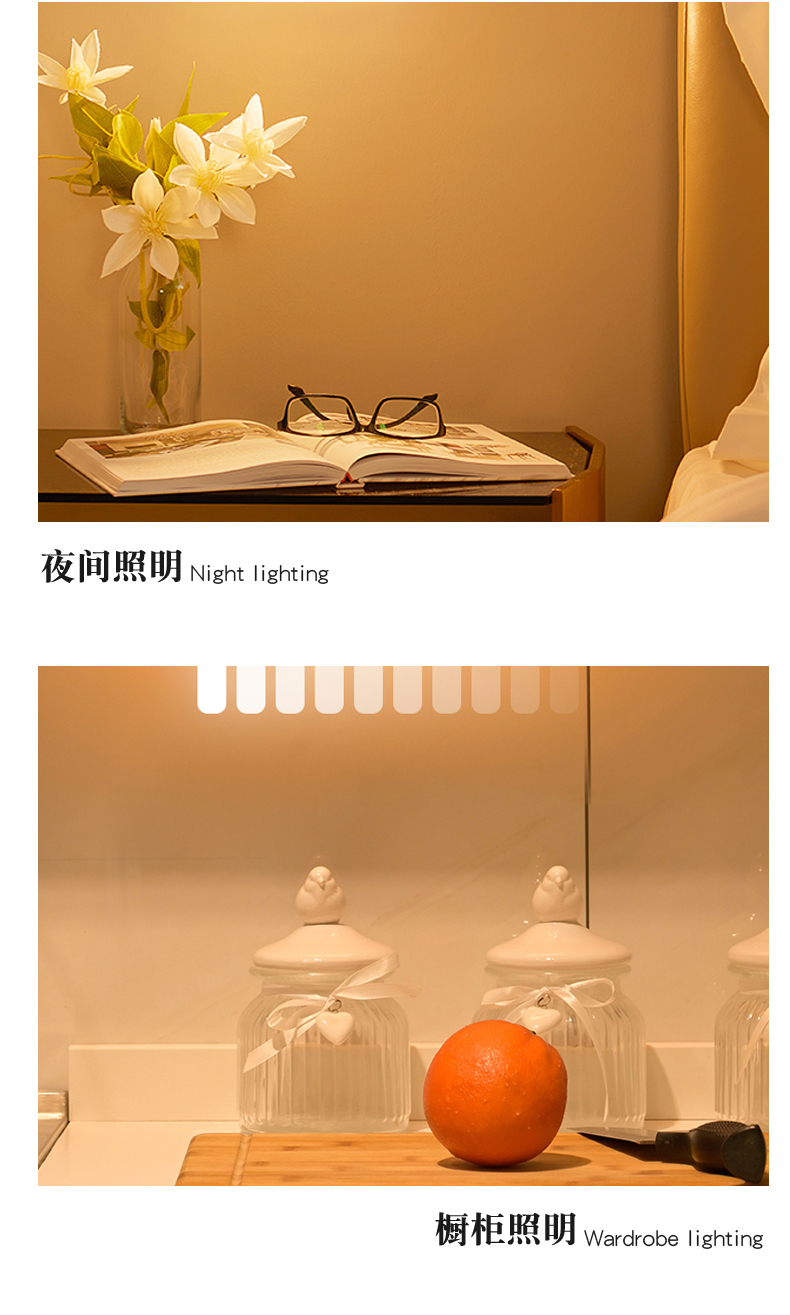 文件上传成功！