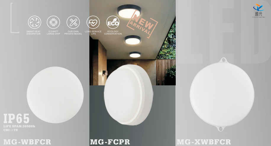 文件上传成功！