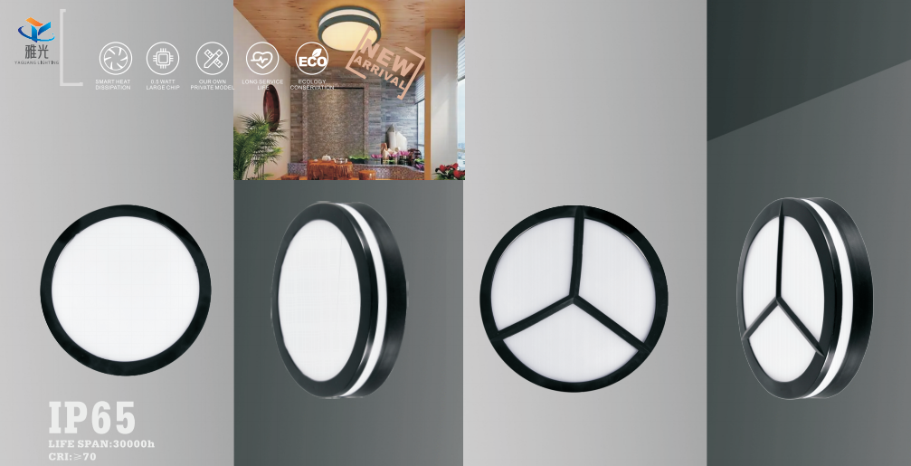 文件上传成功！