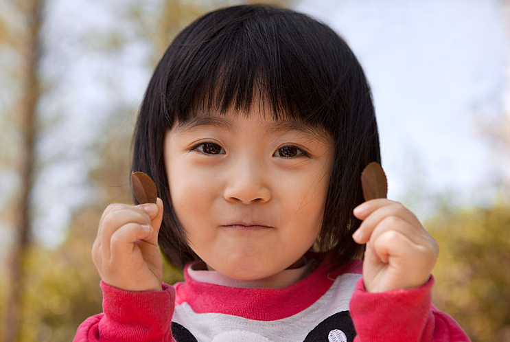 文件上传成功！