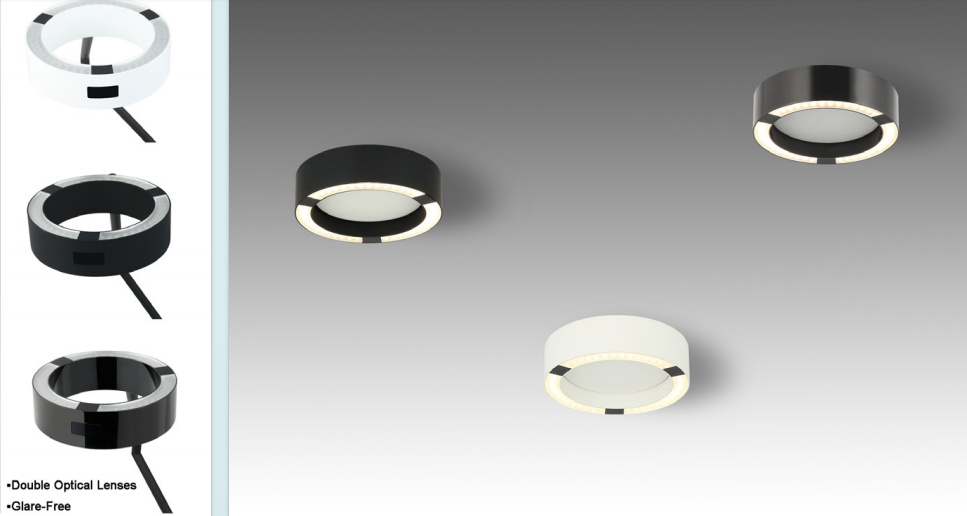 文件上传成功！