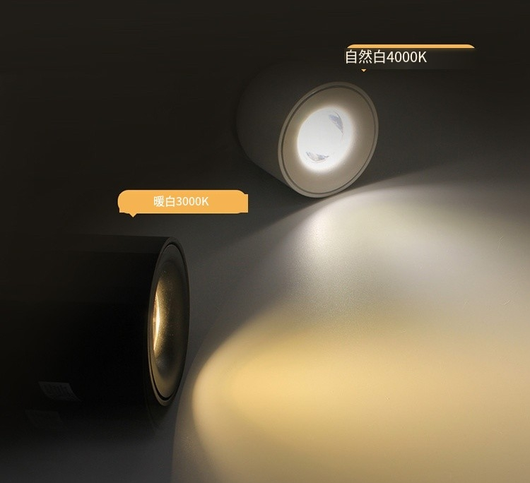 文件上传成功！