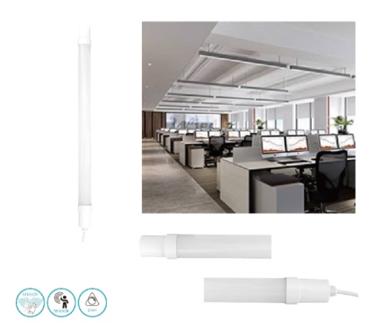 文件上传成功! 文件上传成功!