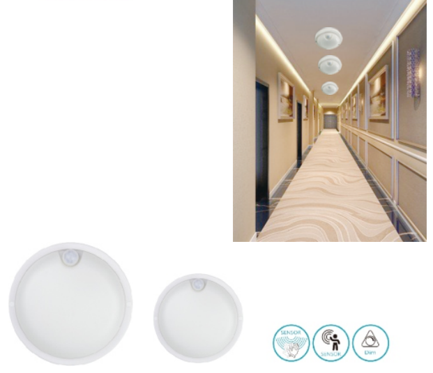 文件上传成功！