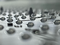 文件上传成功！