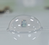 文件上传成功！