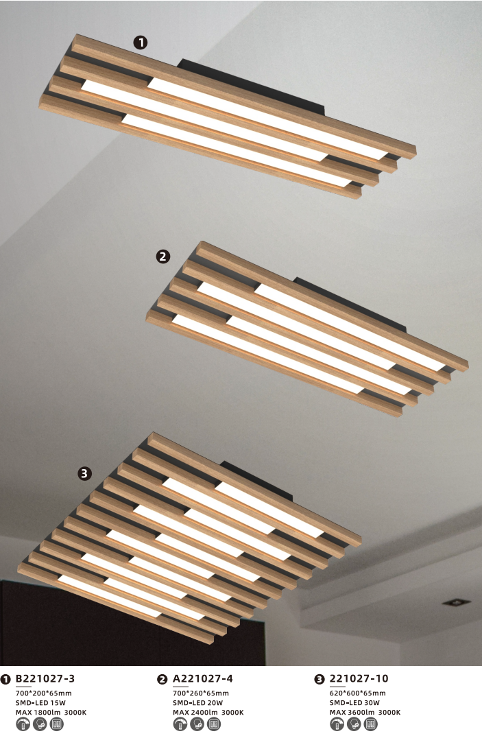 文件上传成功！