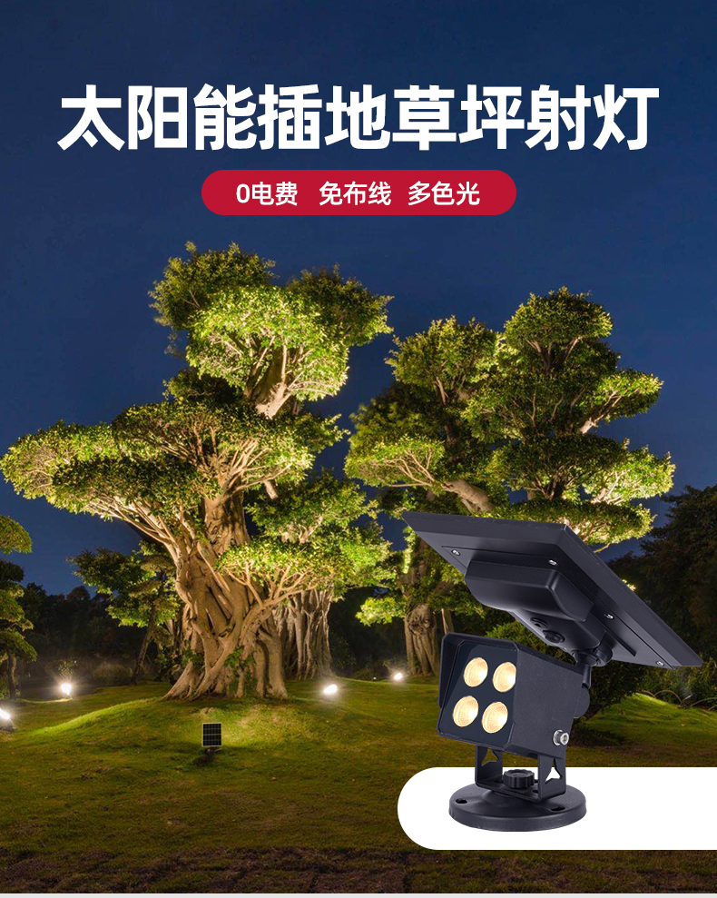 文件上传成功！