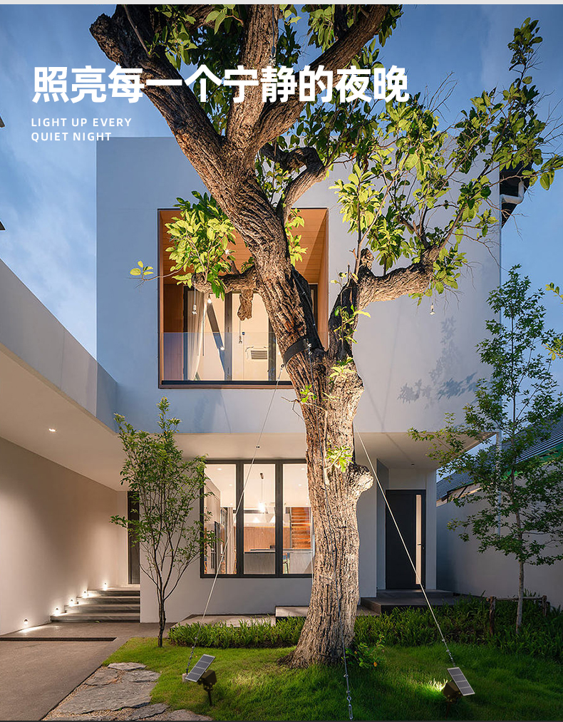 文件上传成功！