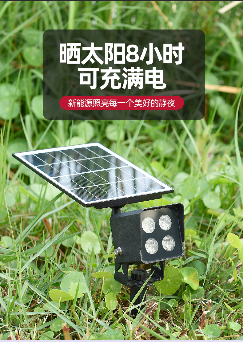 文件上传成功！