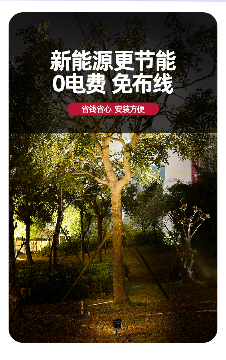 文件上传成功！