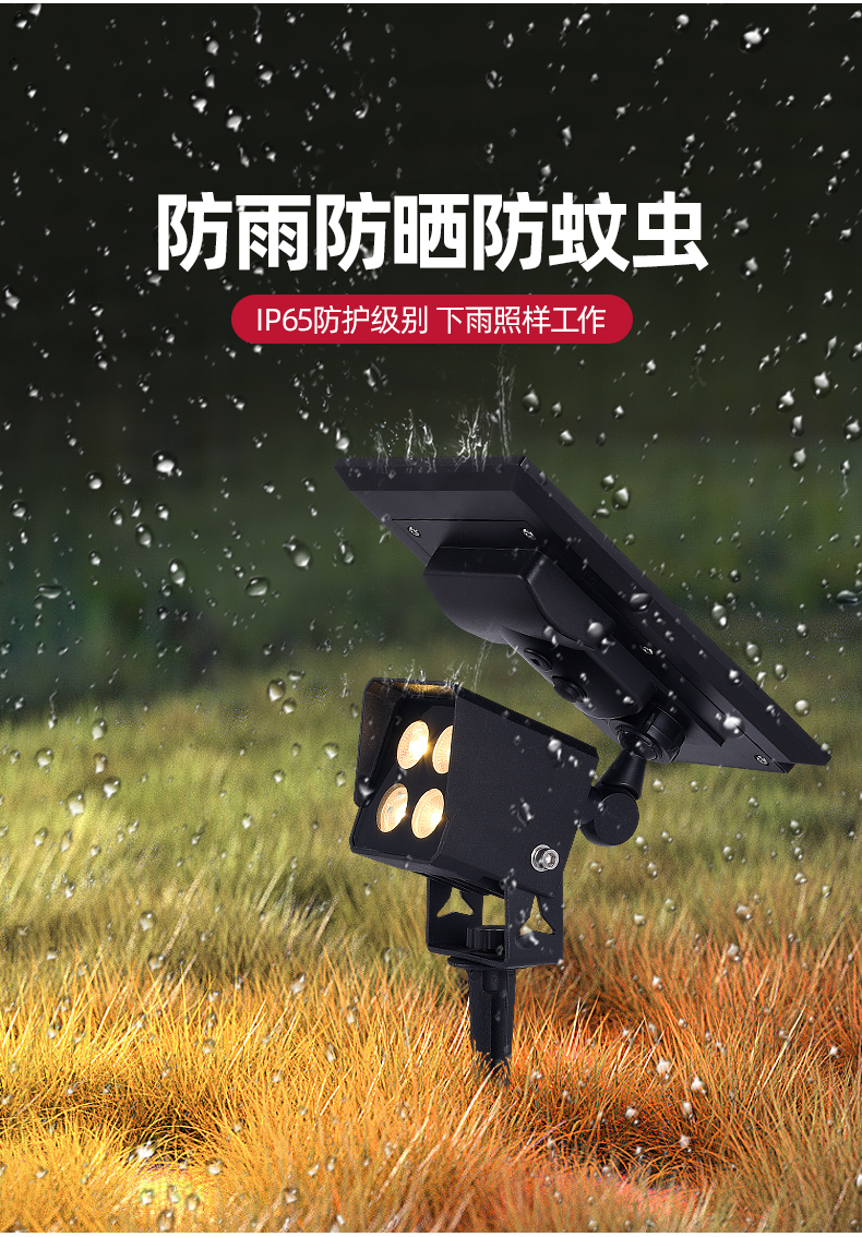 文件上传成功！