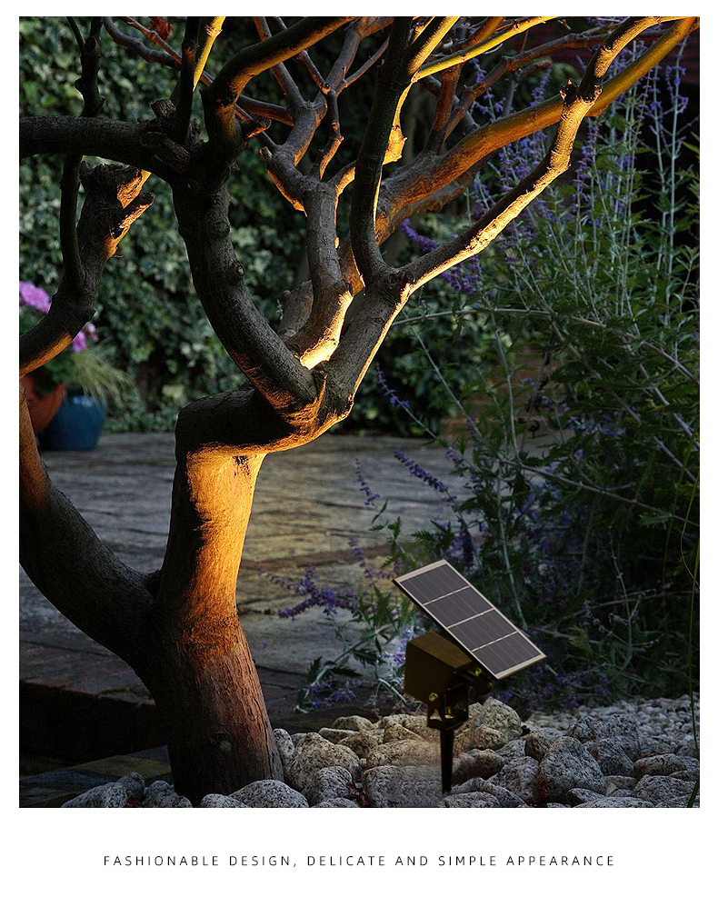 文件上传成功！